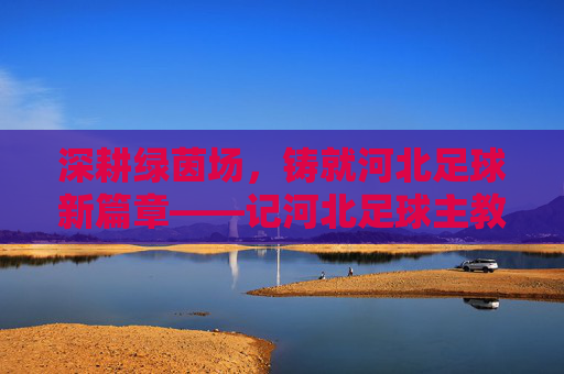 深耕绿茵场，铸就河北足球新篇章——记河北足球主教练赵鹏的执教之路