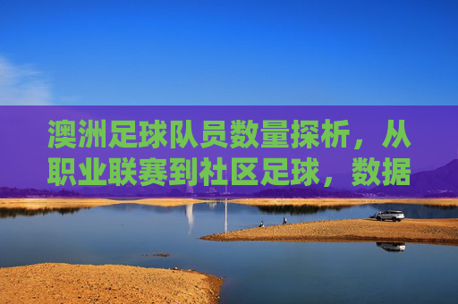 澳洲足球队员数量探析,从职业联赛到社区足球,数据背后的足球生态