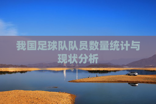 我国足球队队员数量统计与现状分析