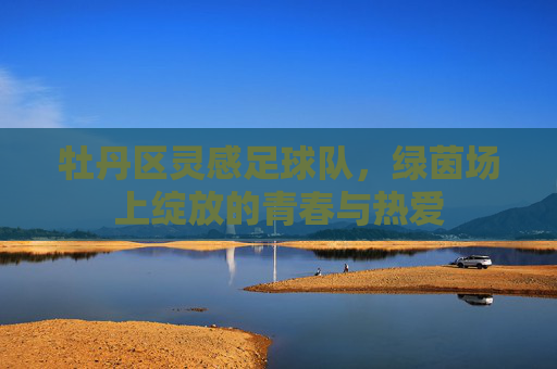 牡丹区灵感足球队，绿茵场上绽放的青春与热爱