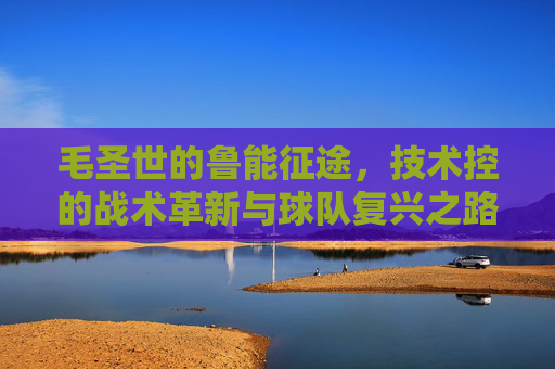 毛圣世的鲁能征途,技术控的战术革新与球队复兴之路