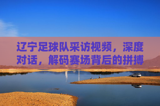 辽宁足球队采访视频,深度对话,解码赛场背后的拼搏与传承
