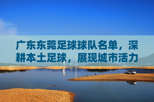 广东东莞足球球队名单,深耕本土足球,展现城市活力