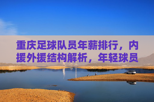 重庆足球队员年薪排行,内援外援结构解析,年轻球员薪资增长凸显青训价值