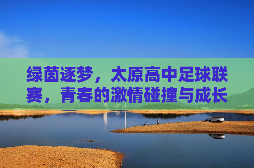 绿茵逐梦,太原高中足球联赛,青春的激情碰撞与成长足迹,绿茵逐梦,太原高中足球联赛里的青春碰撞与成长足迹