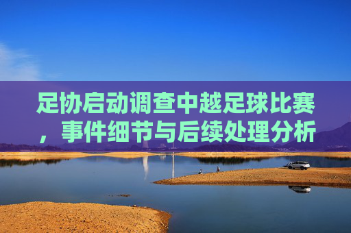 足协启动调查中越足球比赛,事件细节与后续处理分析,足协启动调查中越足球比赛,事件细节与后续处理分析
