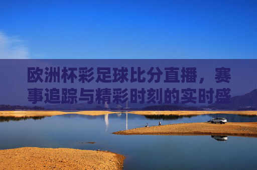 欧洲杯彩足球比分直播,赛事追踪与精彩时刻的实时盛宴
