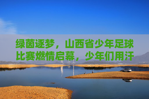 绿茵逐梦，山西省少年足球比赛燃情启幕，少年们用汗水书写足球青春