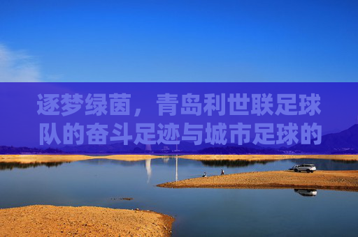 逐梦绿茵,青岛利世联足球队的奋斗足迹与城市足球的青春活力