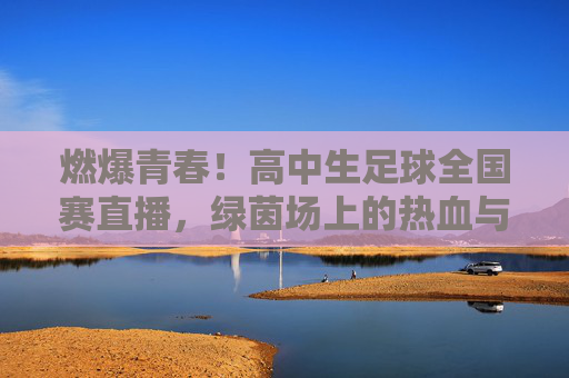燃爆青春！高中生足球全国赛直播，绿茵场上的热血与梦想，燃爆青春！高中生足球全国赛直播，绿茵场上的热血与梦想