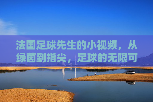法国足球先生的小视频，从绿茵到指尖，足球的无限可能，法国足球先生小视频，从绿茵到指尖，足球的无限可能