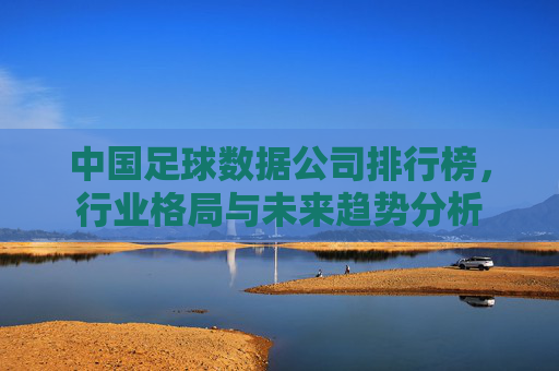 中国足球数据公司排行榜,行业格局与未来趋势分析