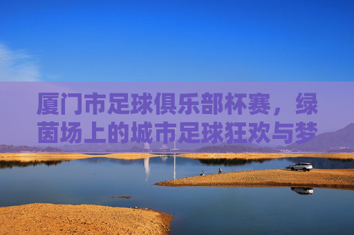 厦门市足球俱乐部杯赛,绿茵场上的城市足球狂欢与梦想传承