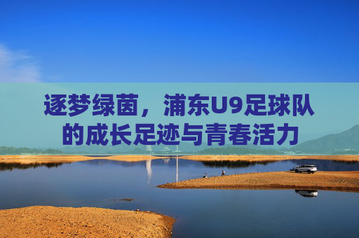 逐梦绿茵，浦东U9足球队的成长足迹与青春活力