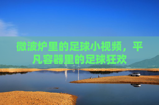 微波炉里的足球小视频,平凡容器里的足球狂欢