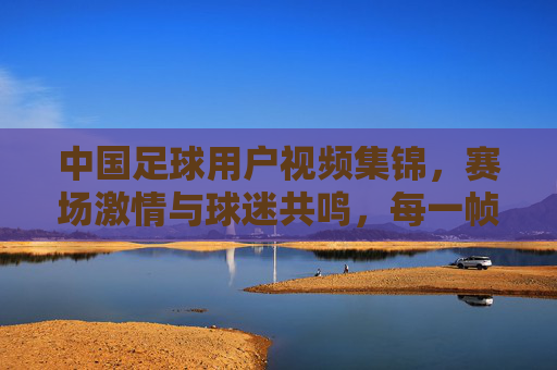 中国足球用户视频集锦,赛场激情与球迷共鸣,每一帧都是足球魂的注脚