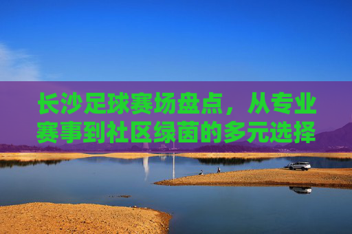 长沙足球赛场盘点，从专业赛事到社区绿茵的多元选择
