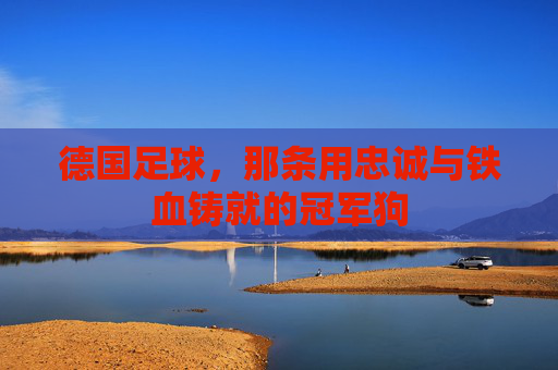 德国足球,那条用忠诚与铁血铸就的冠军狗