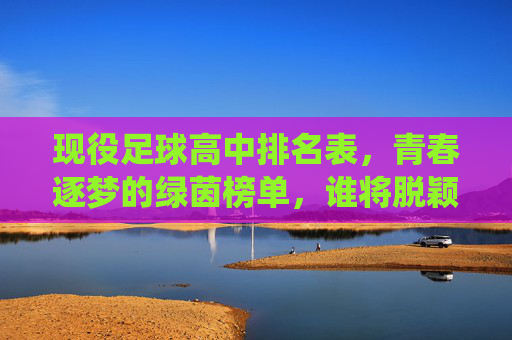 现役足球高中排名表,青春逐梦的绿茵榜单,谁将脱颖而出?现役足球高中排名表,青春逐梦的绿茵榜单,谁将脱颖而出?
