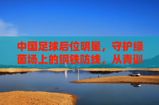 中国足球后位明星,守护绿茵场上的钢铁防线,从青训磨砺到国际舞台的坚守荣光,中国足球后位明星,守护绿茵钢铁防线,从青训磨砺到国际舞台的坚守荣光