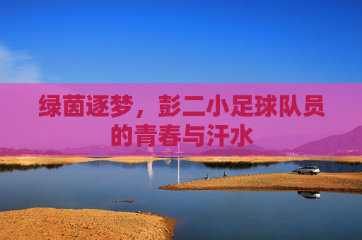 绿茵逐梦,彭二小足球队员的青春与汗水