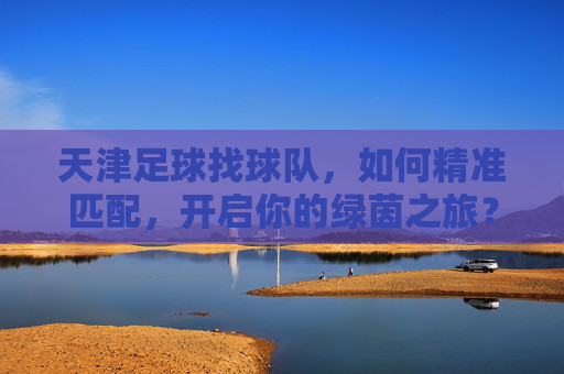 天津足球找球队,如何精准匹配,开启你的绿茵之旅?