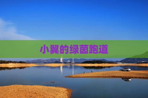 小翼的绿茵跑道