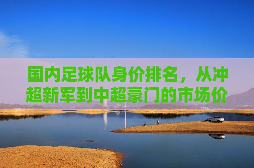 国内足球队身价排名,从冲超新军到中超豪门的市场价值全景解析,国内足球队身价排名,从冲超新军到中超豪门的市场价值全景解析