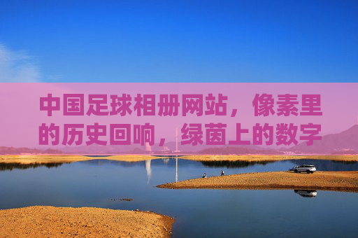 中国足球相册网站,像素里的历史回响,绿茵上的数字足迹——一个承载集体记忆的在线博物馆,中国足球相册,像素里的历史回响与绿茵数字足迹——承载集体记忆的在线博物馆
