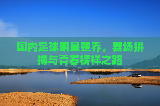 国内足球明星楚乔，赛场拼搏与青春榜样之路