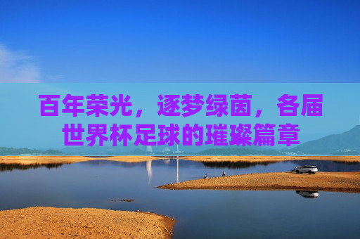 百年荣光，逐梦绿茵，各届世界杯足球的璀璨篇章