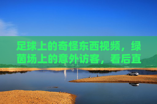 足球上的奇怪东西视频,绿茵场上的意外访客,看后直呼这球咋来的?足球上的奇怪东西视频,绿茵场上的意外访客,看后直呼这球咋来的?
