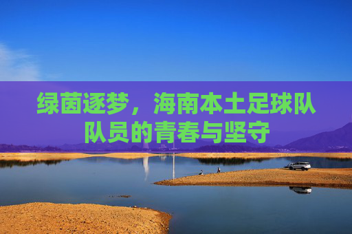 绿茵逐梦,海南本土足球队队员的青春与坚守