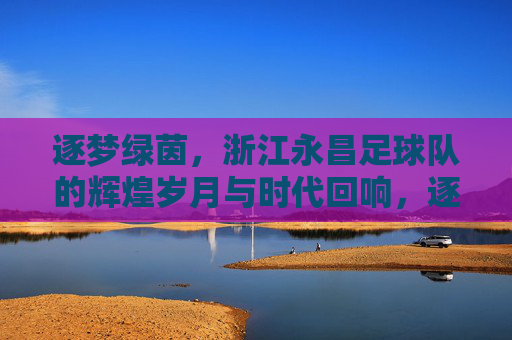 逐梦绿茵，浙江永昌足球队的辉煌岁月与时代回响，逐梦绿茵，浙江永昌足球队的辉煌岁月与时代回响