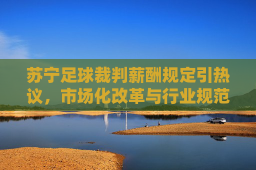 苏宁足球裁判薪酬规定引热议,市场化改革与行业规范的平衡探索,苏宁足球裁判薪酬规定引热议,市场化改革与行业规范的平衡探索