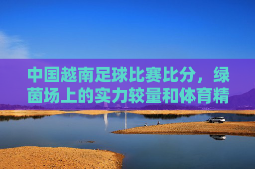 中国越南足球比赛比分，绿茵场上的实力较量和体育精神碰撞，中国越南足球比赛比分，绿茵场上的实力较量和体育精神碰撞