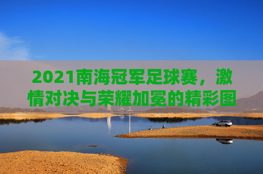 2021南海冠军足球赛,激情对决与荣耀加冕的精彩图鉴,2021南海冠军足球赛,激情对决与荣耀加冕的精彩图鉴