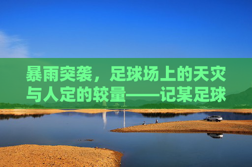 暴雨突袭，足球场上的天灾与人定的较量——记某足球比赛遇强降雨的惊险瞬间，暴雨突袭，足球场上的天灾与人定的较量——记某足球比赛遇强降雨的惊险瞬间