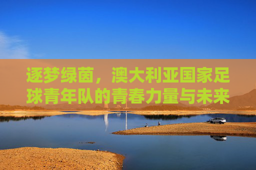 逐梦绿茵，澳大利亚国家足球青年队的青春力量与未来图景，逐梦绿茵，澳大利亚国家足球青年队的青春力量与未来图景