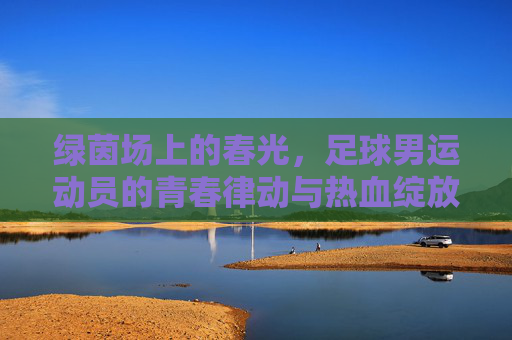 绿茵场上的春光，足球男运动员的青春律动与热血绽放，绿茵场上的春光，足球男运动员的青春律动与热血绽放
