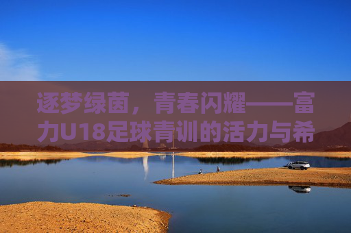 逐梦绿茵,青春闪耀——富力U18足球青训的活力与希望,逐梦绿茵,青春闪耀——富力U18足球青训的活力与希望