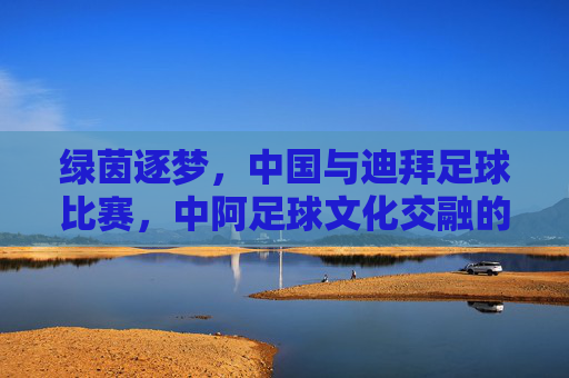 绿茵逐梦,中国与迪拜足球比赛,中阿足球文化交融的精彩篇章