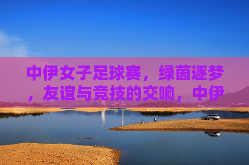 中伊女子足球赛，绿茵逐梦，友谊与竞技的交响，中伊女子足球赛，绿茵逐梦，友谊与竞技的交响