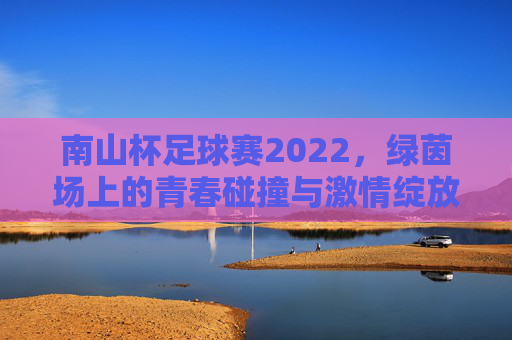 南山杯足球赛2022，绿茵场上的青春碰撞与激情绽放——记年度经典赛事的精彩回眸，南山杯足球赛2022，绿茵场上的青春碰撞与激情绽放——记年度经典赛事的精彩回眸