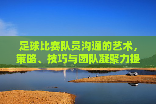 足球比赛队员沟通的艺术,策略、技巧与团队凝聚力提升