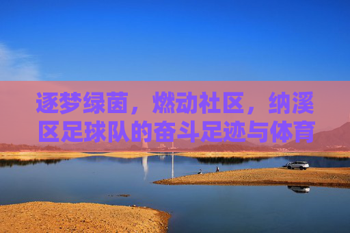 逐梦绿茵，燃动社区，纳溪区足球队的奋斗足迹与体育精神，逐梦绿茵，燃动社区，纳溪区足球队的奋斗足迹与体育精神