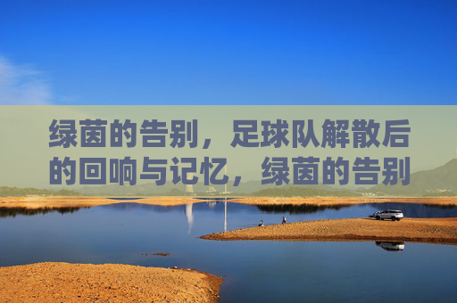 绿茵的告别，足球队解散后的回响与记忆，绿茵的告别，足球队解散后的回响与记忆