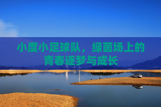 小度小足球队,绿茵场上的青春逐梦与成长
