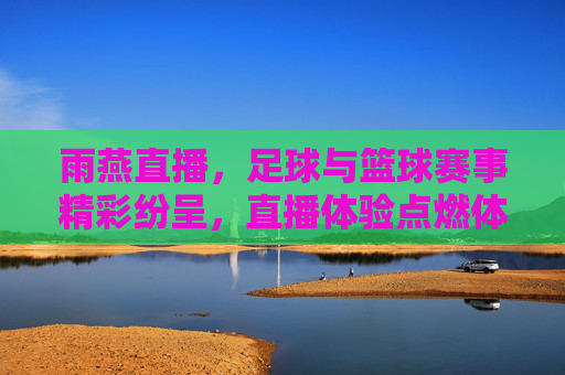 雨燕直播,足球与篮球赛事精彩纷呈,直播体验点燃体育热情