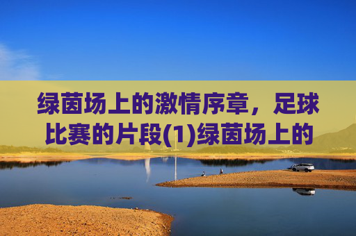 绿茵场上的激情序章,足球比赛的片段(1)绿茵场上的激情序章,足球比赛的片段(1)